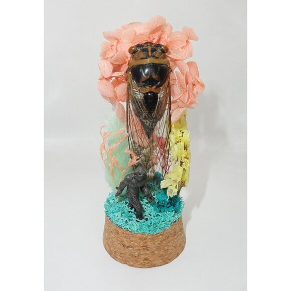 Cicada & Bigfoot Oddity Jar curiosity dome cryptid insect taxidermy floral goth - Picture 2 of 16